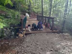 trek, chien, aventure, randonnée, sac à dos