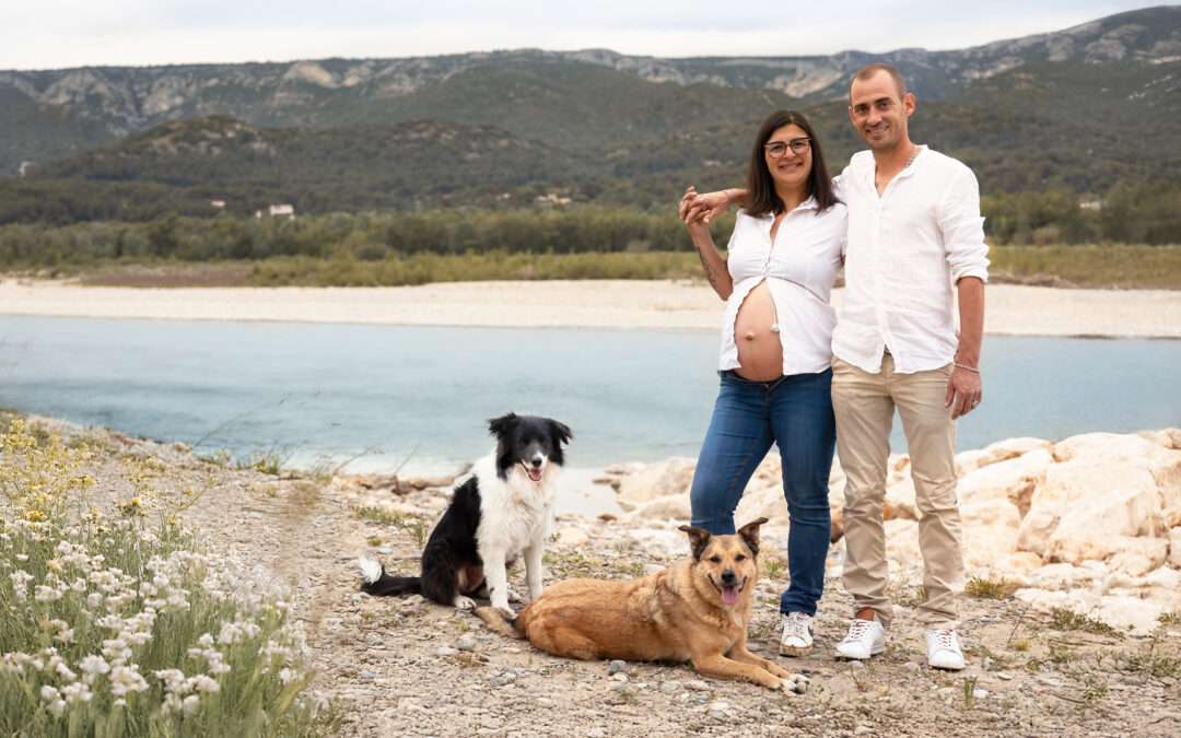Chiens grossesse nouveau-né
