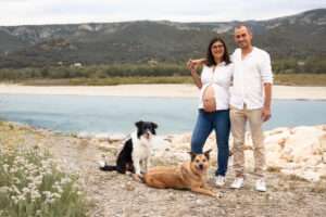 Chiens grossesse nouveau-né