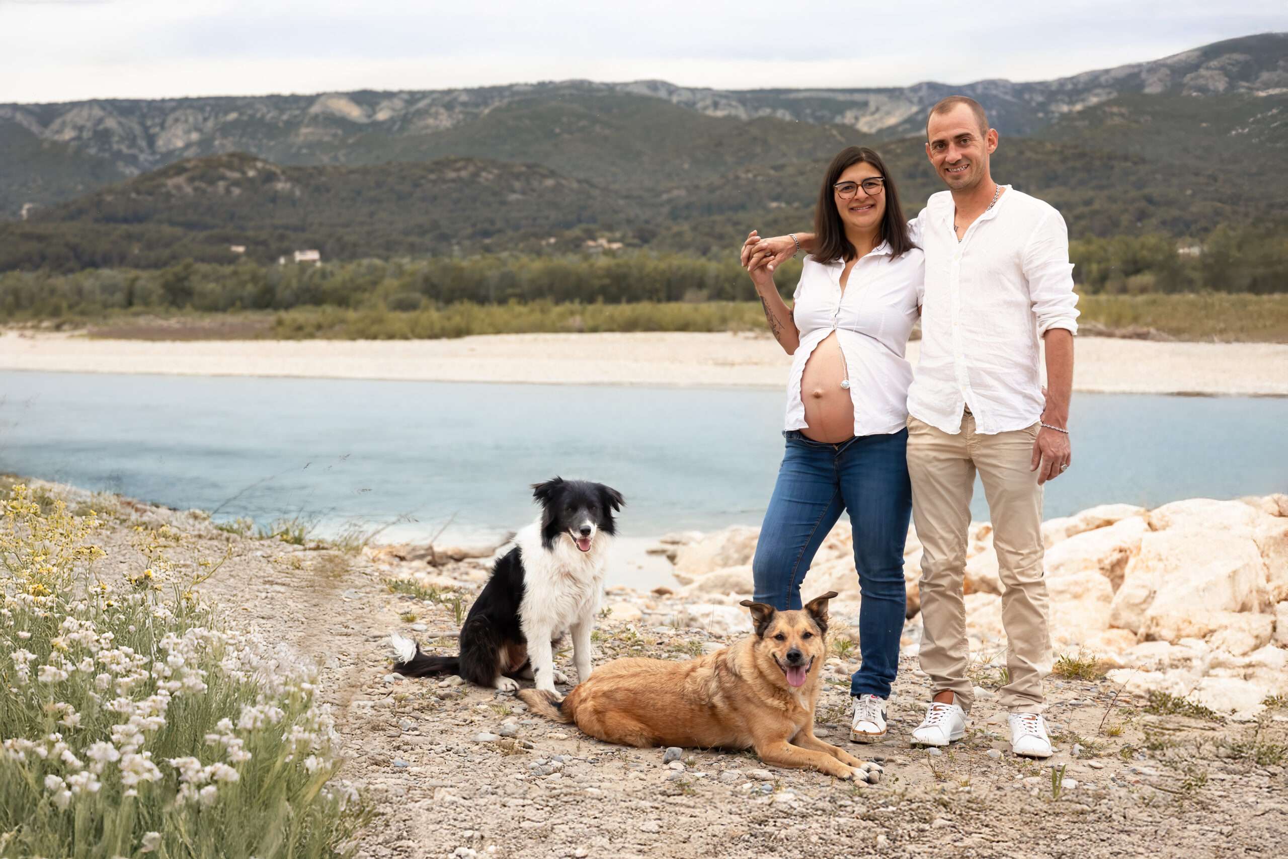 Chiens grossesse nouveau-né